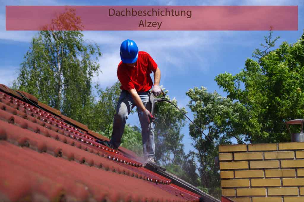 Dachbeschichtung Alzey