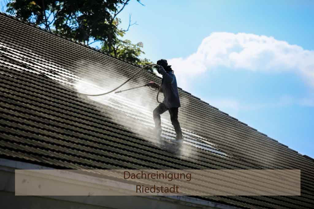 Dachreinigung Riedstadt